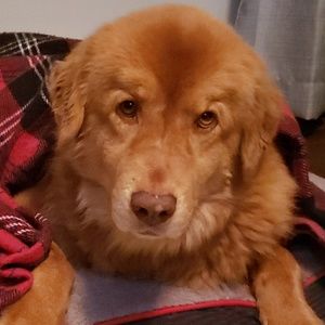 Meet your Posher, Marcia